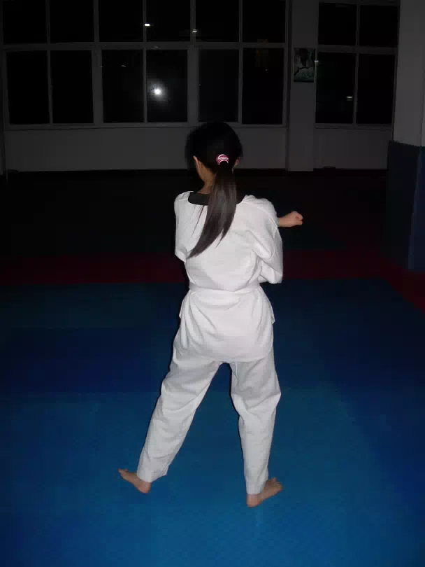 Taekwondo-002