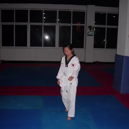 Taekwondo-003 Hanhan in the stance.