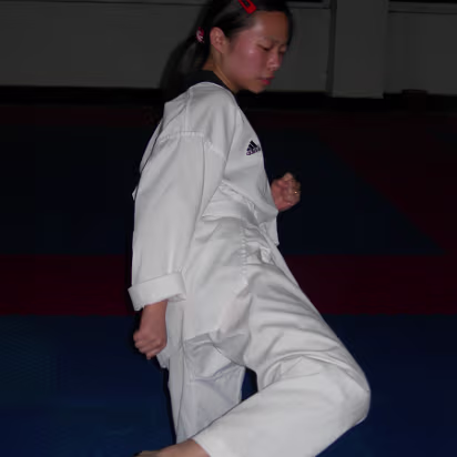 Taekwondo-005 Die taxi driver!