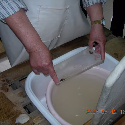 YellowMountain-058 Separating twin silkworm cocoons.