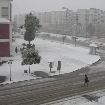 Snow_2006-001 View from our window. Oh boy, let's play!