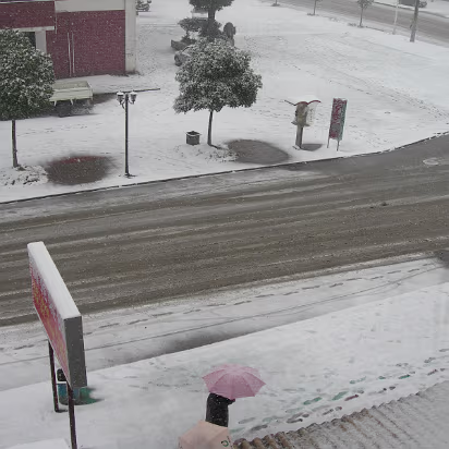 Snow_2006-003 Umbrellas for snow?