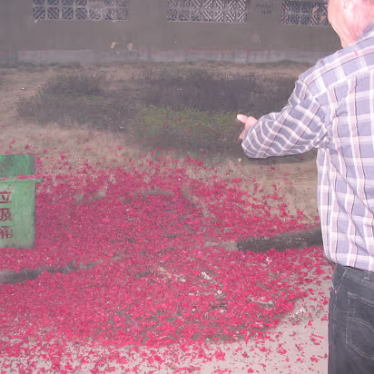 Spring_Festival_06-011 Tada!