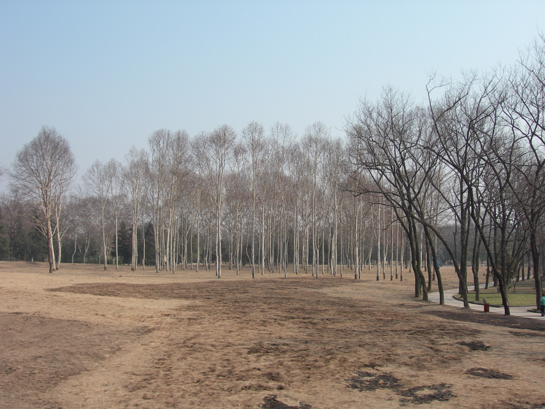 Spring_Festival_06-032