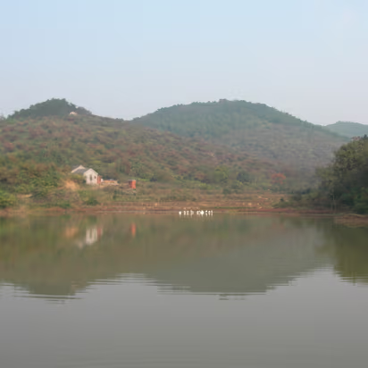 Putang_Outing_Nov_05-004 The 'watch geese' are across the pond.