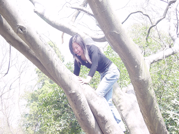 Caishi Mar 2005 Me and Hanhan visited one kind of chilly day. It is a nice place and we had fun.