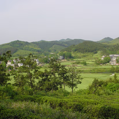 Putang_May_2005-011 Peaceful area.