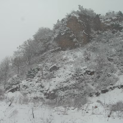 Snow_2006-010 All quiet in the snow. A nice afternoon.