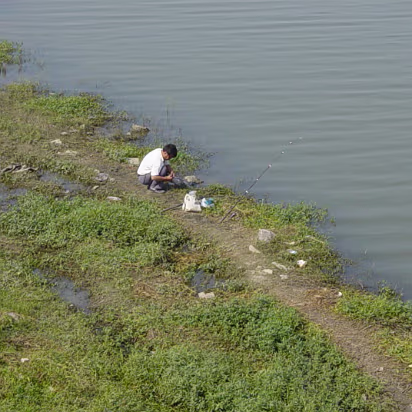 Random-010 A guy out for the evening's main course.