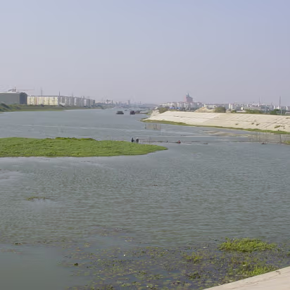 Random-011 The fish farm again. Quite popular here.