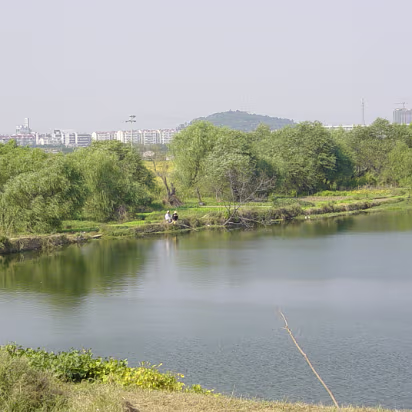 Random-016 A couple of women taking it easy under the shade tree.