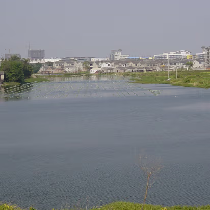 Random-017 In the water are 100s of empty 2 liter bottles. They are float fishing here.