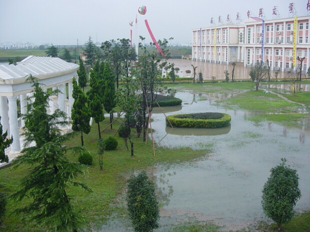 Deluge 2003 It rained, and rained, and rained. I was happy to be living on the third floor!