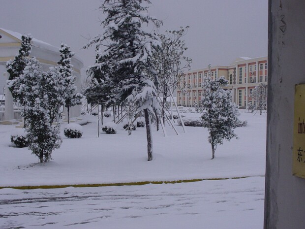 Snow 2003 It doesn't snow often in Nanjing, so we all took advantage of a heavy, wet snowfall to play a bit.