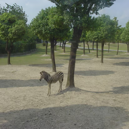 Shanghai_Sep_2003-001 Shanghai Wildlife Park