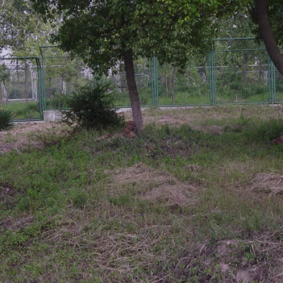 Shanghai_Sep_2003-005 Shanghai Wildlife Park