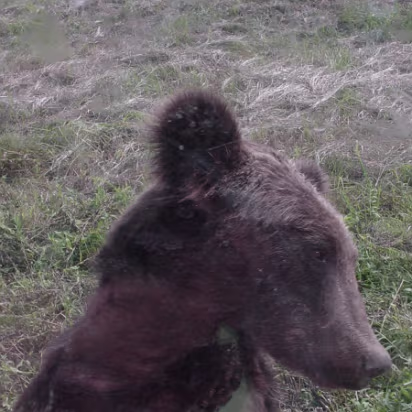 Shanghai_Sep_2003-007 Shanghai Wildlife Park