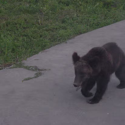 Shanghai_Sep_2003-008 Shanghai Wildlife Park