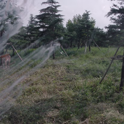 Shanghai_Sep_2003-012 Shanghai Wildlife Park