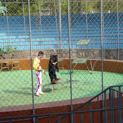 Shanghai_Sep_2003-014 Shanghai Wildlife Park