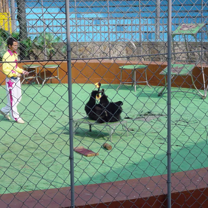 Shanghai_Sep_2003-016 Shanghai Wildlife Park