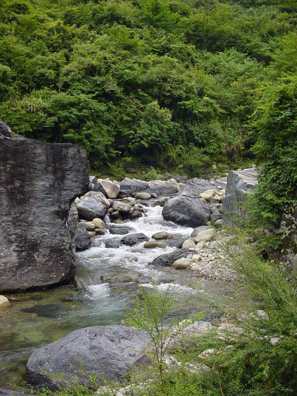 Shitai-44