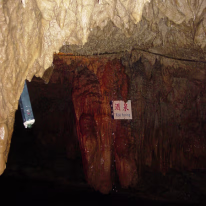 Shitai_Aug_2005-004 A 'wine' spring. Helps you to see the other shapes.