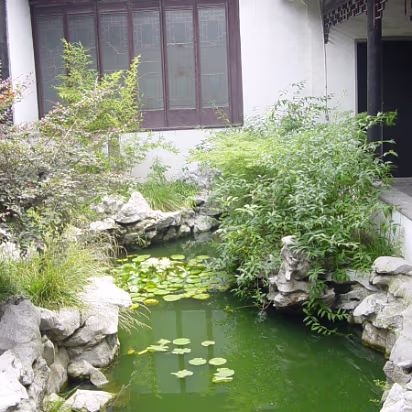 Suzhou-05 Pool between 2 halls of the administrator's house.