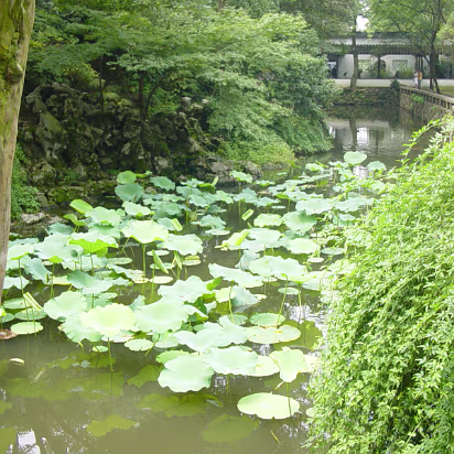 Suzhou-08 Lotus pool.