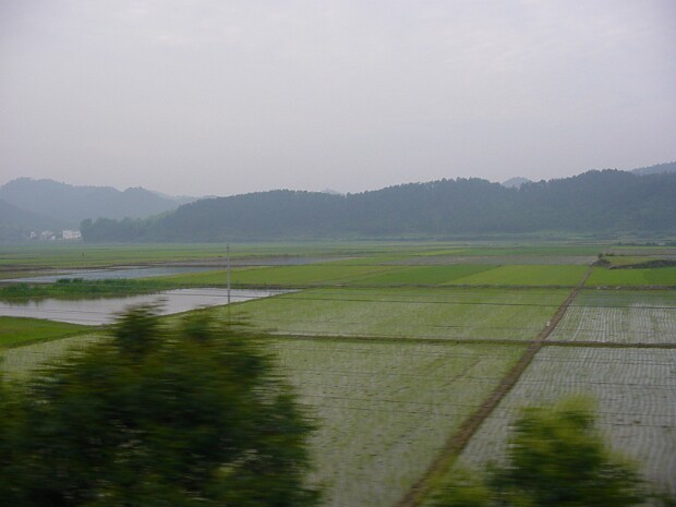 Yellow Mountain 2003 Yellow Mountain is one of the most famous and most visited scenic spots in China. I went for a visit in 2003.