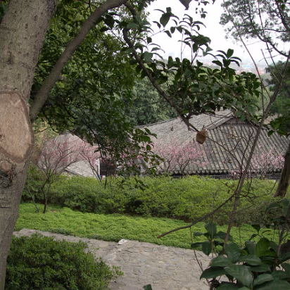 Mei-Yuan-15 Further along the path, another example of the old China.