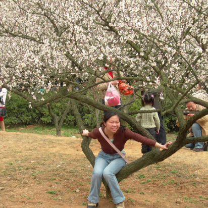 Mei-Yuan-22 A tired Hanhan taking a rest in a beautiful spot.