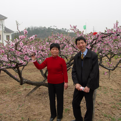 Peach-Festival-22 Hanhan's mother and father.