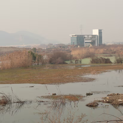 CampusW-13 A view across the wetlands towards a massive floodgate.