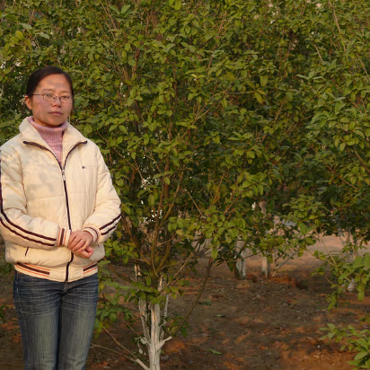 CampusW-21 Even in winter most plants remain green.