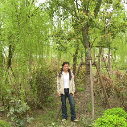 Tai-Lake-03 Hanhan amidst the bright green of Spring.