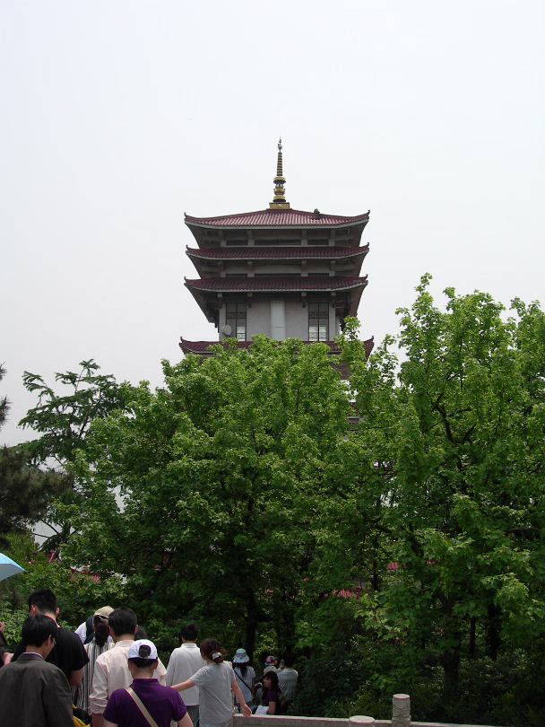 Turtle-Head-Island-29
