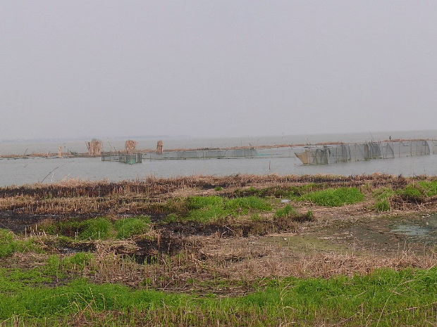 Boat Buying Excursion We drove around looking for a wooden fishing boat to buy one weekend.