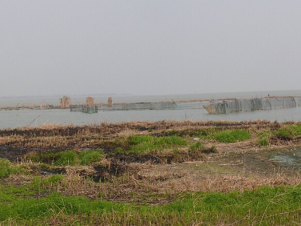 Wuxi Photo Albums We lived in Wuxi, Jiangsu province, about 90 minutes by train from Shanghai.