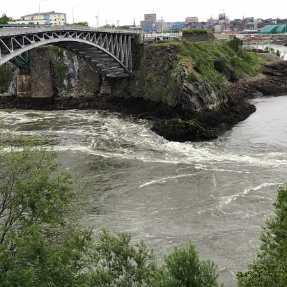 IMG_0083 St. John River flowing to the sea at low tide.