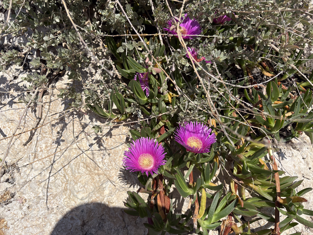 greece-and-turkey-291