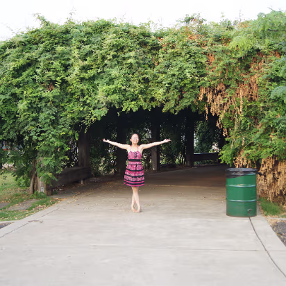 Downtown_Little_Rock-013 Leafy canopy.