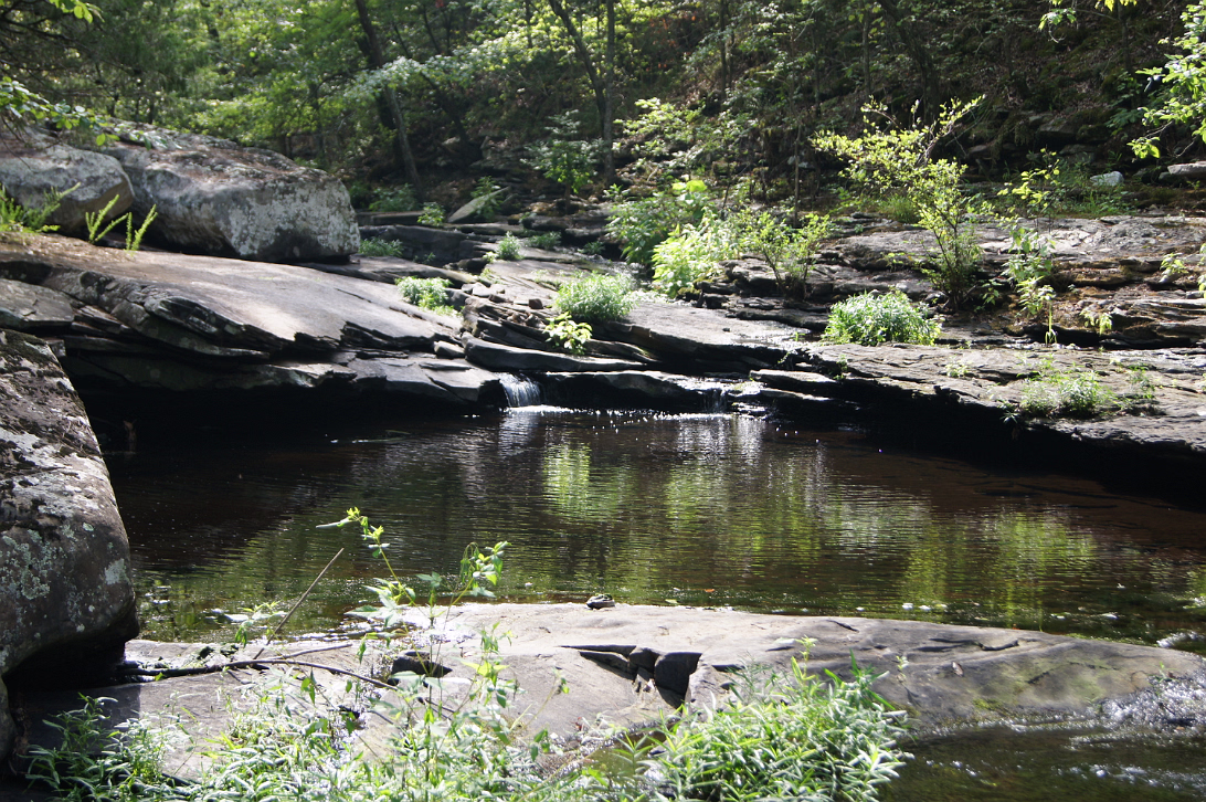 Petit_Jean_Camping-122