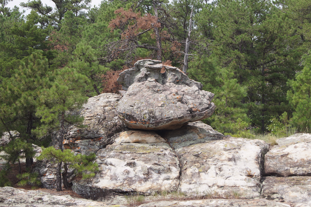 Petit_Jean_Camping-172