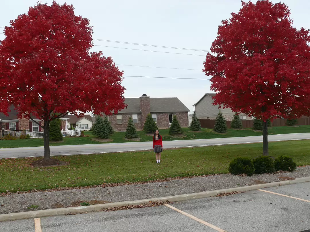Autumn_2009-028