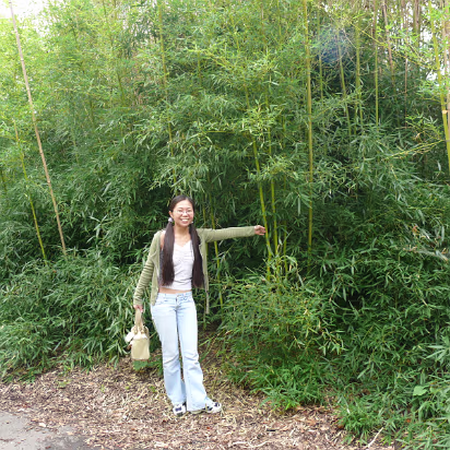 Zoo_Sep_2009-049 Hanhan loves to eat bamboo. Cooked though.