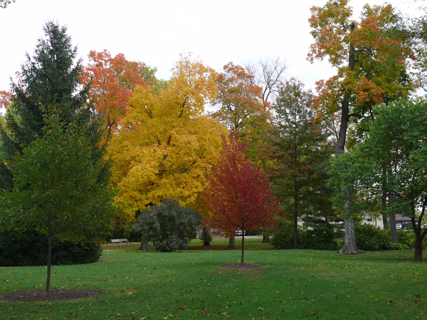 Autumn Around Cicero Hanhan & Gary search for Autumn around central Indiana.
