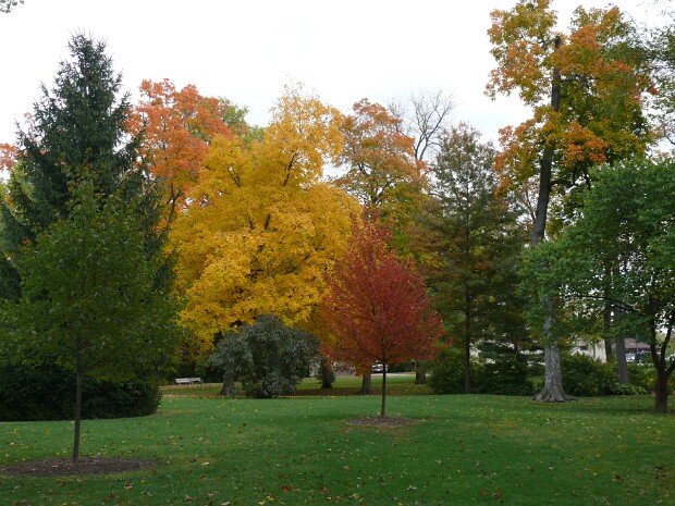 Autumn Around Cicero Hanhan & Gary search for Autumn around central Indiana.