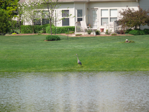 A Day in Indianapolis A day in Indianapolis, complete with a crane.