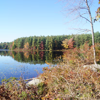 New_England_Fall_2014-015